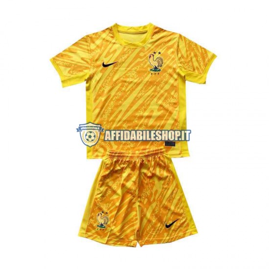 Maglia Francia Portiere Giallo Euro 2024 Bambino 3-13 anni Manica Corta, Gara Home