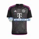 Maglia FC Bayern München 2023-2024 Uomo Manica Corta, Gara Away