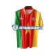 Maglia Camerun Retro 1994 Uomo Manica Corta, Gara Home