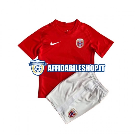 Maglia Norvegia HAALAND 9 2022 Bambino 3-13 anni Manica Corta, Gara Home