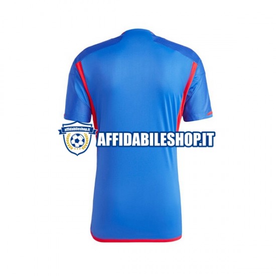 Maglia Olympique Lyonnais 2023-2024 Uomo Manica Corta, Gara Away