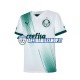 Maglia Palmeiras 2023-2024 Uomo Manica Corta, Gara Away