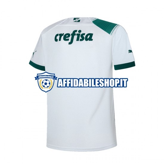 Maglia Palmeiras 2023-2024 Uomo Manica Corta, Gara Away