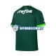 Maglia Palmeiras 2023-2024 Uomo Manica Corta, Gara Home