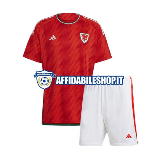 Maglia Galles World Cup 2022 Bambino 3-13 anni Manica Corta, Gara Home