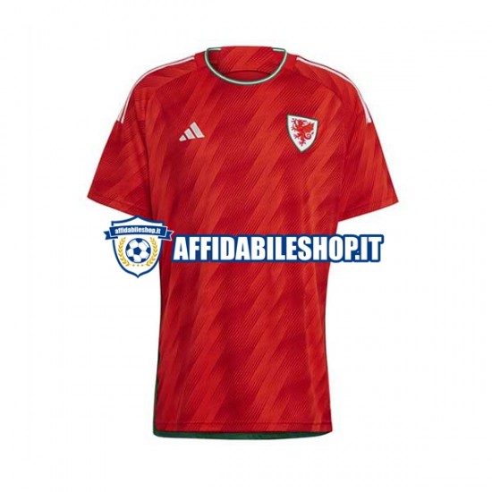 Maglia Galles World Cup 2022 Uomo Manica Corta, Gara Home