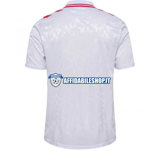 Maglia Danimarca Euro 2024 Uomo Manica Corta, Gara Away