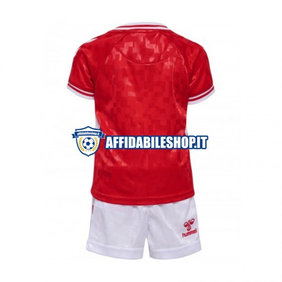 Maglia Danimarca Rosso Euro 2024 Bambino 3-13 anni Manica Corta, Gara Home