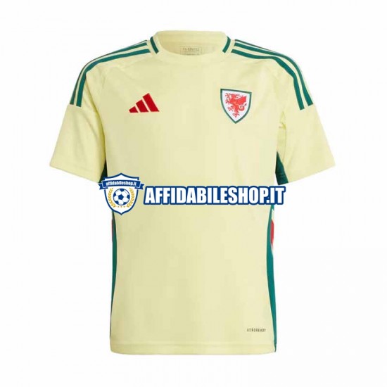 Maglia Galles 2024 Uomo Manica Corta, Gara Away