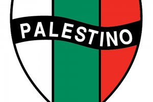 Club Deportivo Palestino