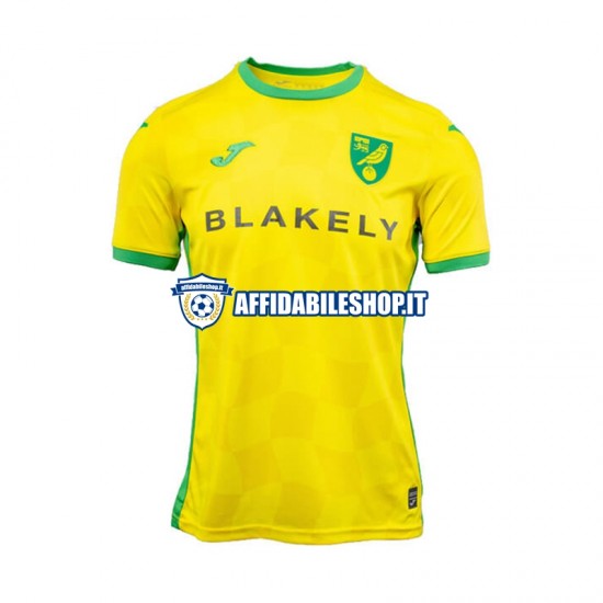 Maglia Norwich City 2024-2025 Uomo Manica Corta, Gara Home